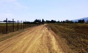 Venta Parcela Luis Fernandez 4